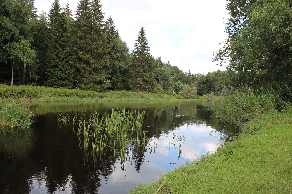 Řeka Vltava