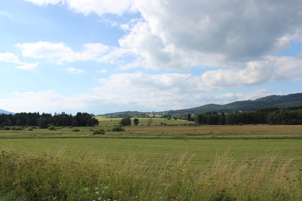 NP Šumava